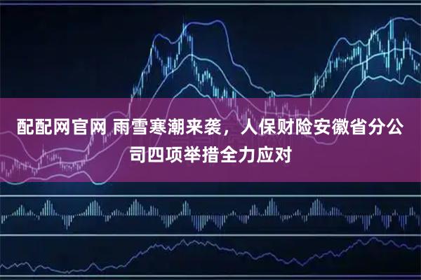 配配网官网 雨雪寒潮来袭，人保财险安徽省分公司四项举措全力应对