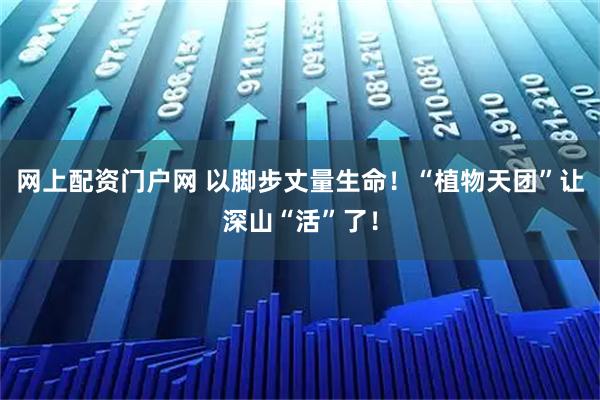 网上配资门户网 以脚步丈量生命！“植物天团”让深山“活”了！
